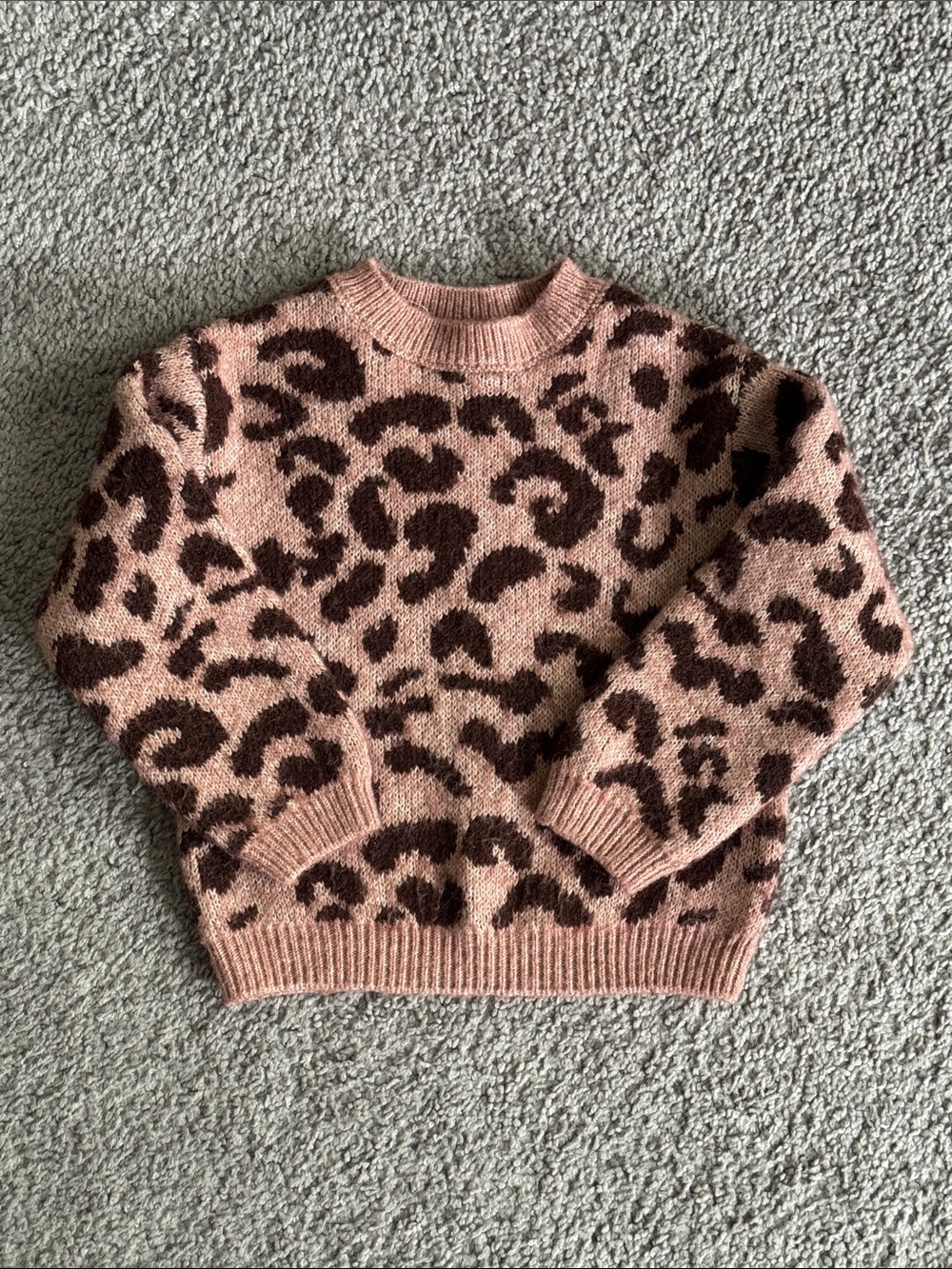 Zara Leopard-Print Crewneck Sweater - 3T